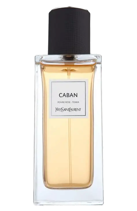 YSL Caban